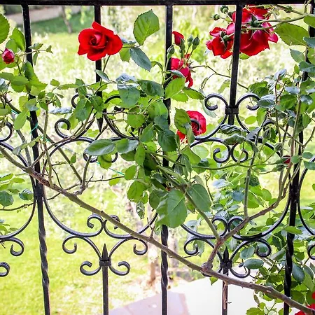 Villa Halkidiki Family - Garden By Travelpro Services Nea Moudania Halkidiki